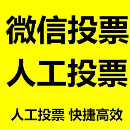 宜春市微信刷票怎么投票