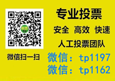 宜春市微信手动投票费多少钱让我告诉你微信投了多少